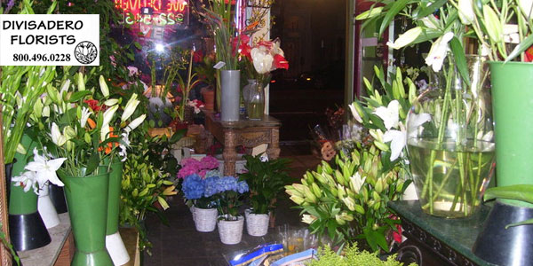 Divisadero Florist San Francisco