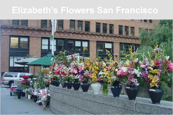 Elizabeths Flowers San Francisco