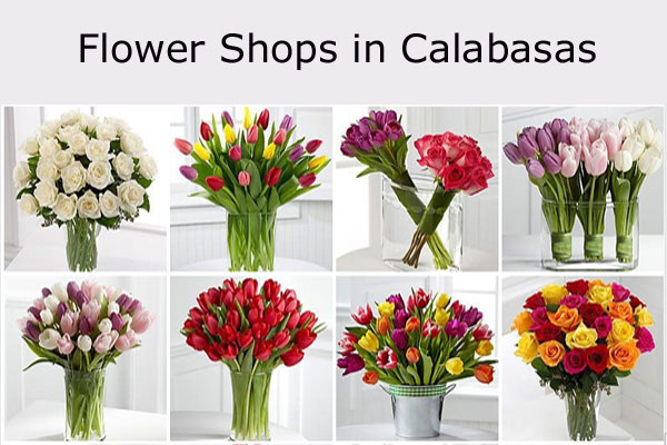 Flower Shops in Calabasas