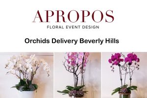 Orchids Delivery Beverly Hills