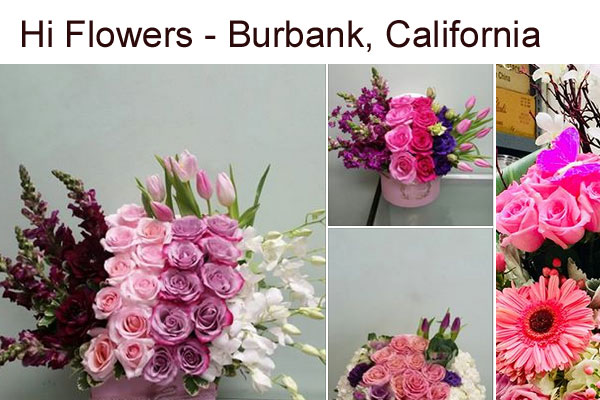 Hi Flowers Burbank California