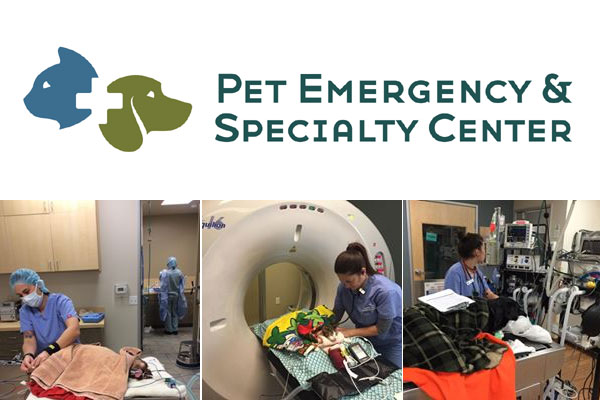 Pet Emergency and Specialty Center