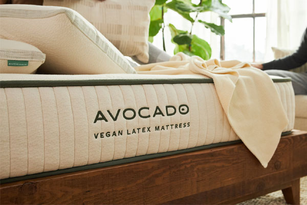 avocado mattress colorado springs
