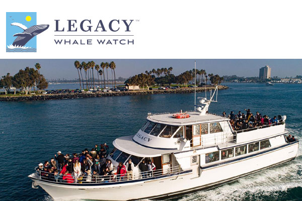Legacy Whale Watch San Diego